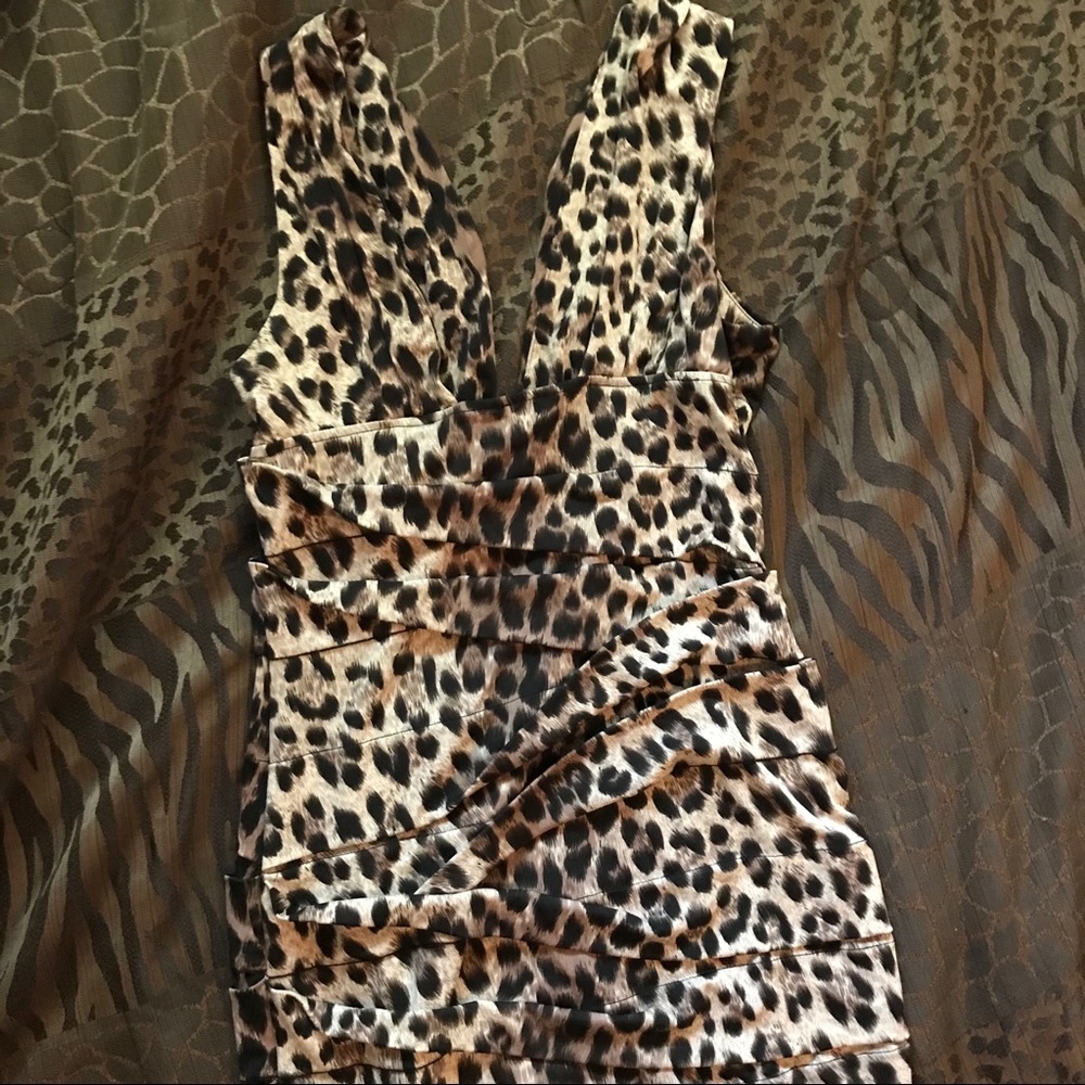 Leopard Print Dress